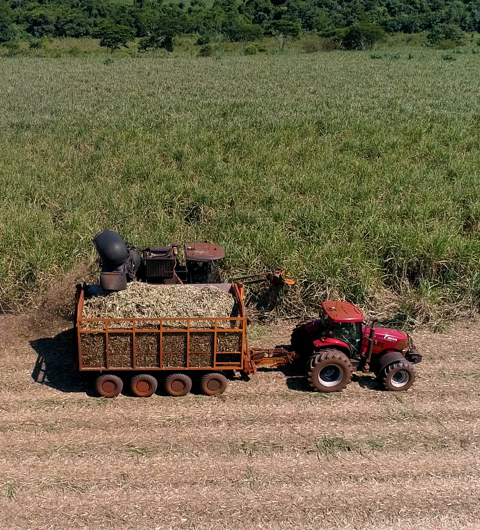harvest_HD